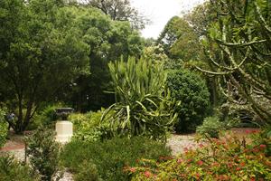 Botanischer Garten