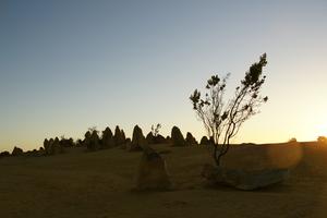 Die Pinnacles