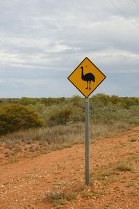 Warnung vor dem Emu