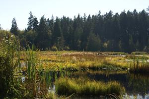 Beaver Lake