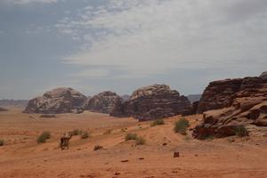 Im Wadi Rum