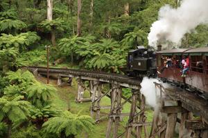 Puffing Billy auf der Trestle Bridge