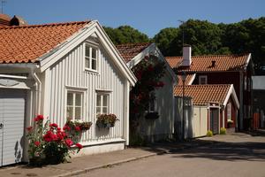 Kleine Altstadthäuschen mit herrlichen Rosen