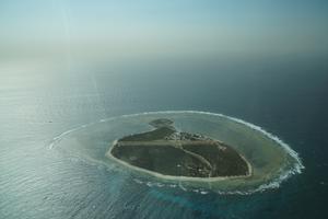 Lady Elliot Island