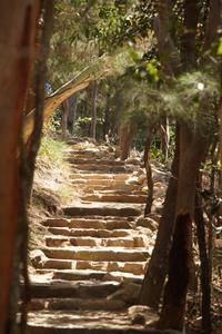 Der Weg auf den Mt. Coolum besteht nur aus Treppen