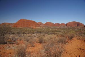 Kata Tjuta – die vielen Köpfe