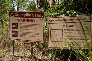Es gibt mehr Tote durch Krokodile als durch jedes andere Tier in Australien