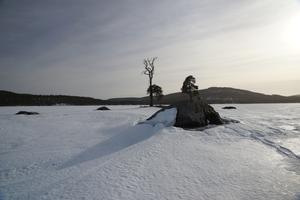 Jeweils zwei Bäume und drei Felsen bilden eine Insel