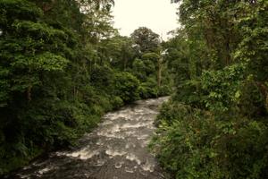 Rio Sarapiquí