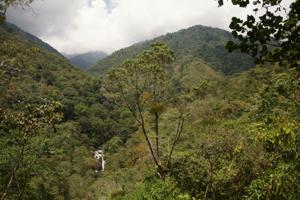 Cloudbridge Reserve