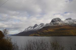 Der Balsfjord