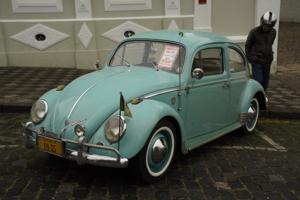 Fusca - so heißen die Käfer hier