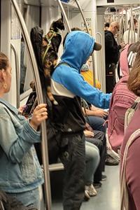 Mann mit Gitarre und Katze