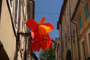 Die meisten dieser Riesenblüten waren schon ziemlich zerfetzt